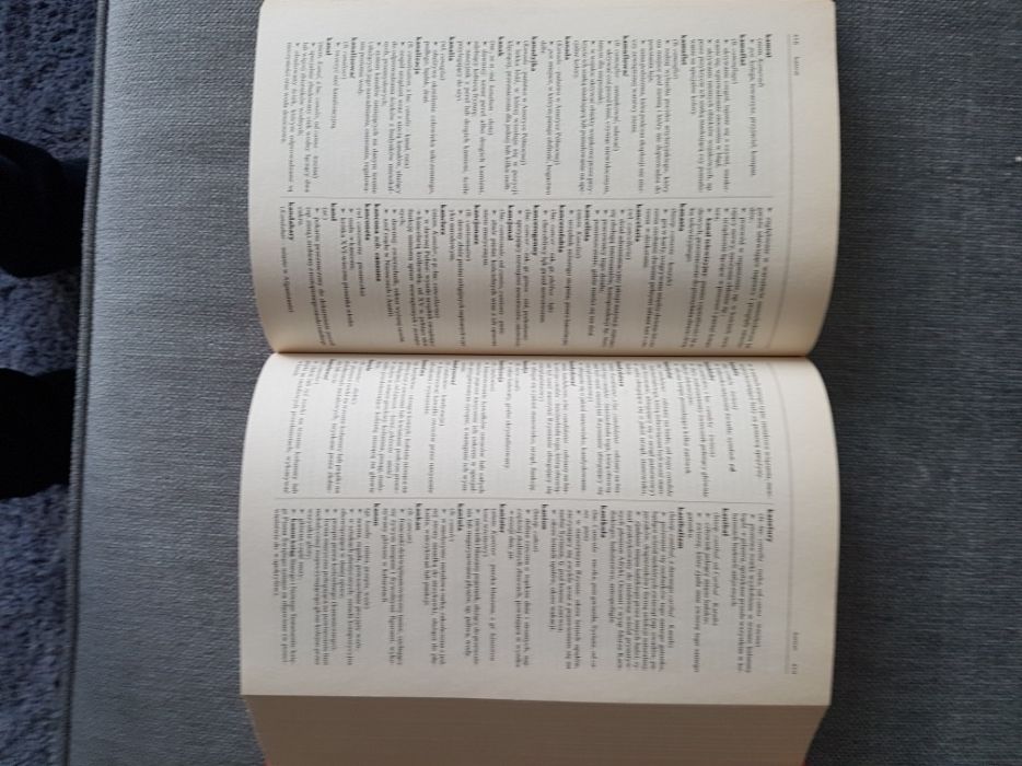 Wielki słownik wyrazów obcych.