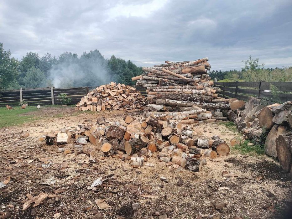 Brzoza opałowa 230zł