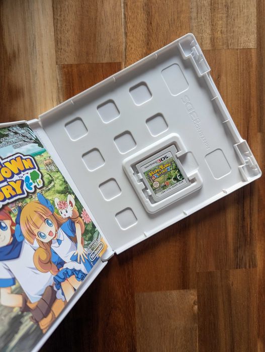 Hometown Story - 3DS