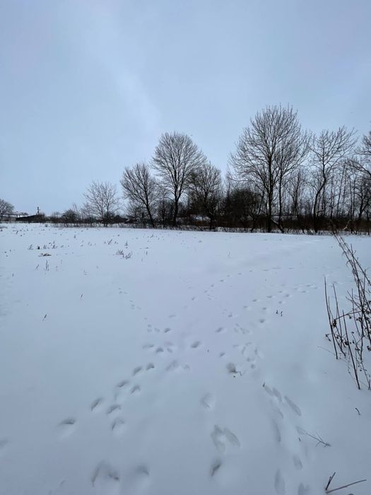 Продам земельну ділянку 80 соток біля Хмільника