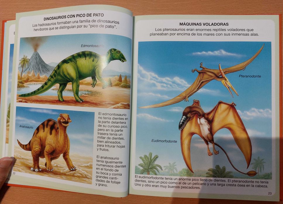 Dicionário por imagens | 4 livros