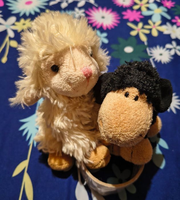 Maskotki pluszaki owieczki NICI