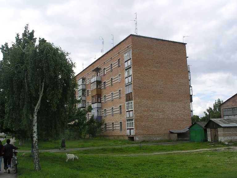 Площі в ТОРГІВЕЛЬНОМУ ЦЕНТРІ що будується в смт. Сосниця