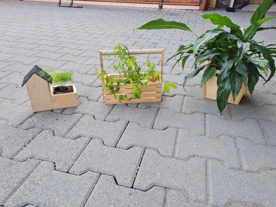 Doniczki Drewniane/Skrzynki