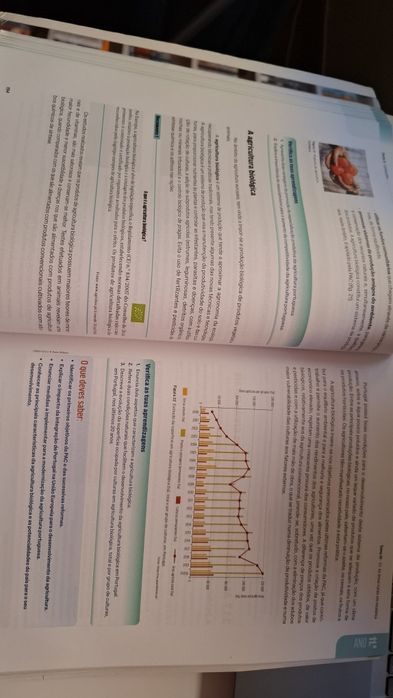Exame final Geografia A 11 ano