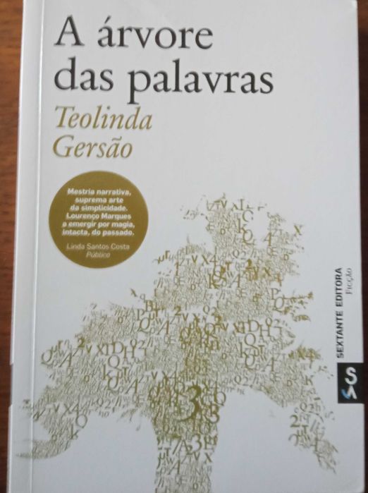 Teolinda Gersão «0 Silêncio» +11 obras