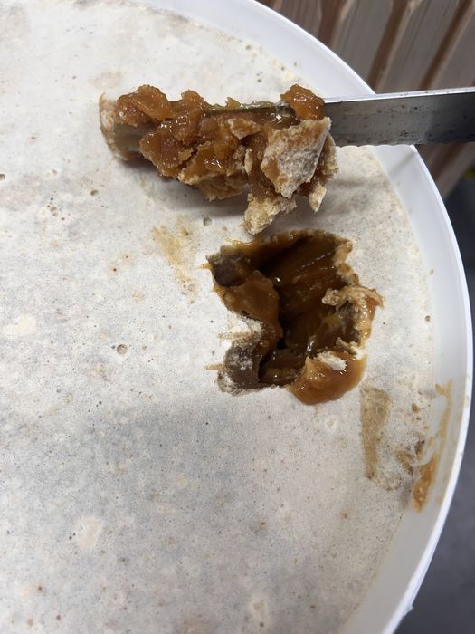 Miód pszczeli słonecznikowy,ule,pasieka,pszczoł,roje,odkłady pszczele