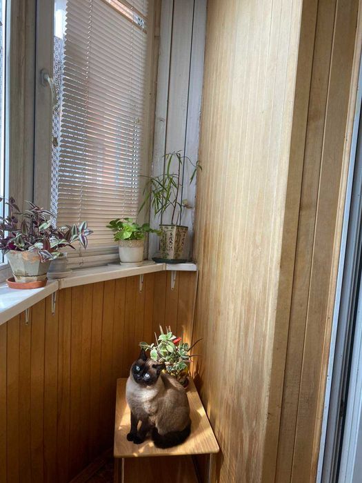 Продам 3к 107м пр- т Науки 62-А Бізнес Клас Ремонт Меблі Техника Цегла