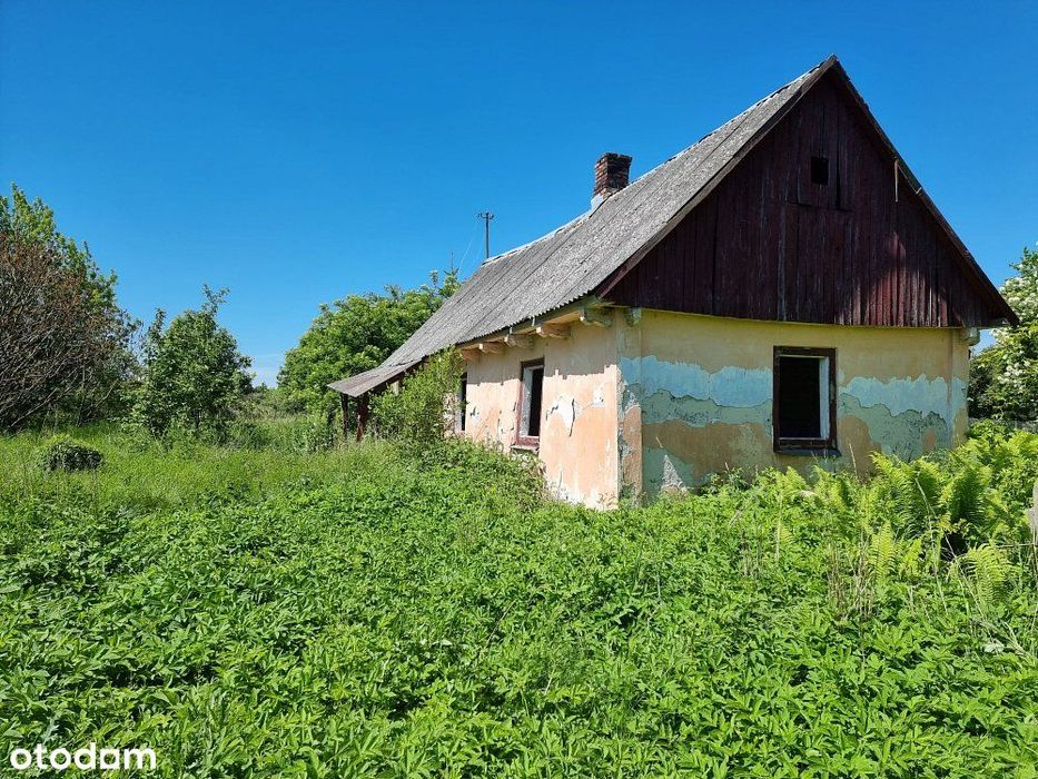 Działka 42 ar | Zagrodowa | Świerże pow. chełmski
