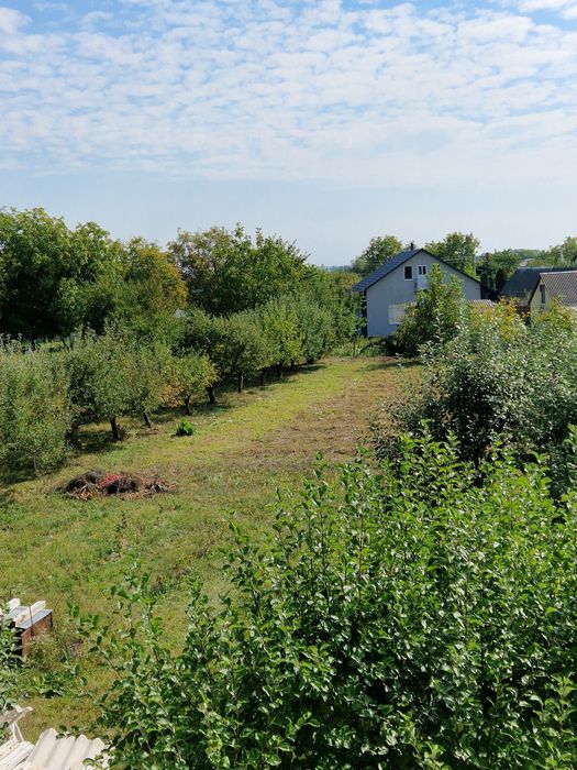 Продам земельну ділянку під житлову забудову в с. Якушинці.