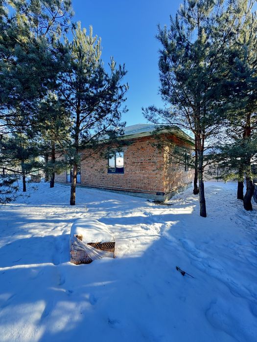 Новий цегляний будинок біля лісу Асфальт Лісопіль