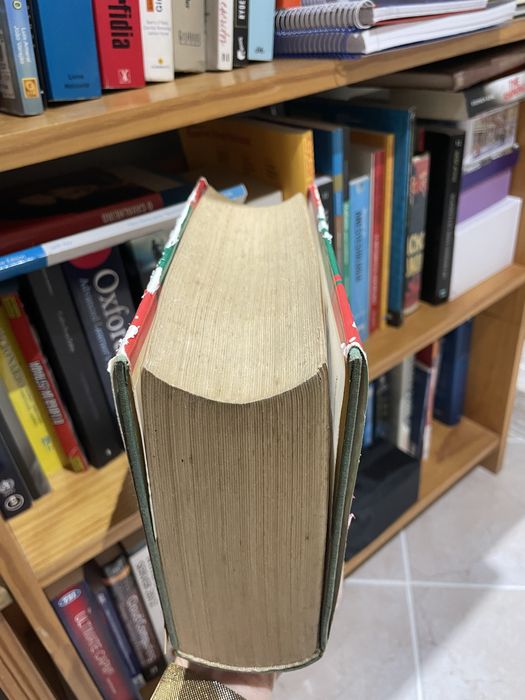 Brockhaus Picture Dictionary
