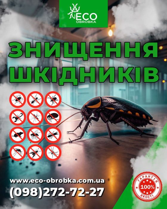 Знищення тарганів клопів бліх .ос шершнів плісняви грибка Дезинфекція