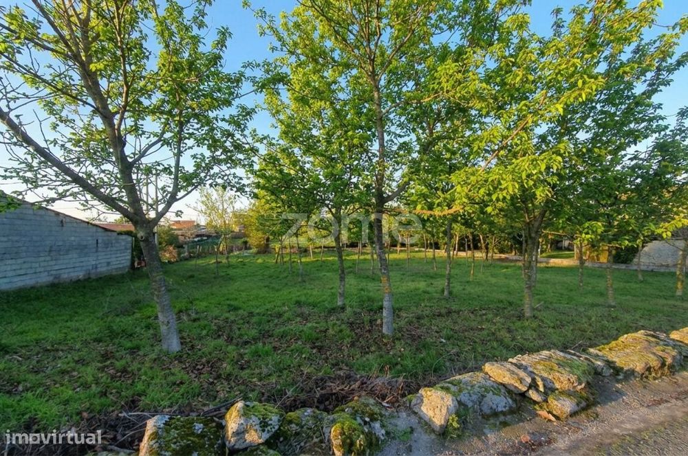 Terreno Urbanizável 1.169 m² + Estudo Prévio | Moradia T3 | Sátão