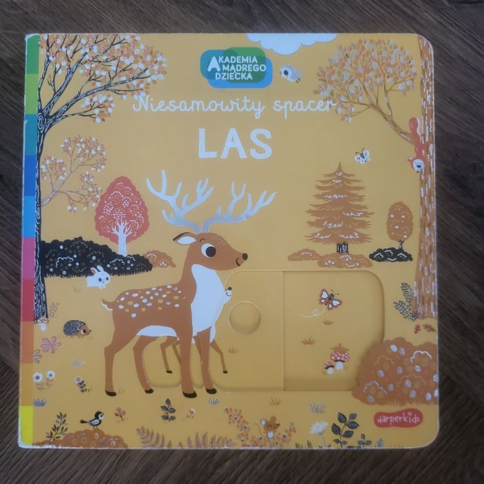 Książeczka Niesamowity spacer Las