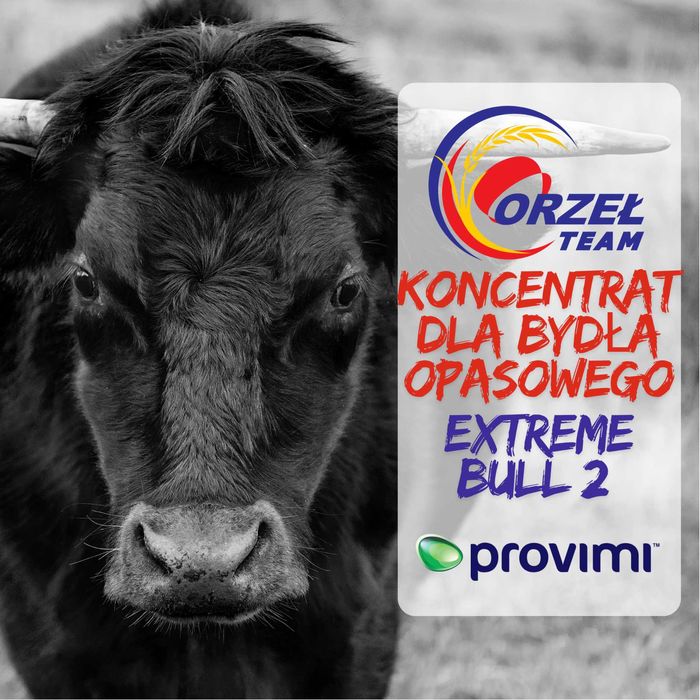 Koncentrat dla opasów ExtremeBull 2 41% Białko, Big Bag, Worki, Luz