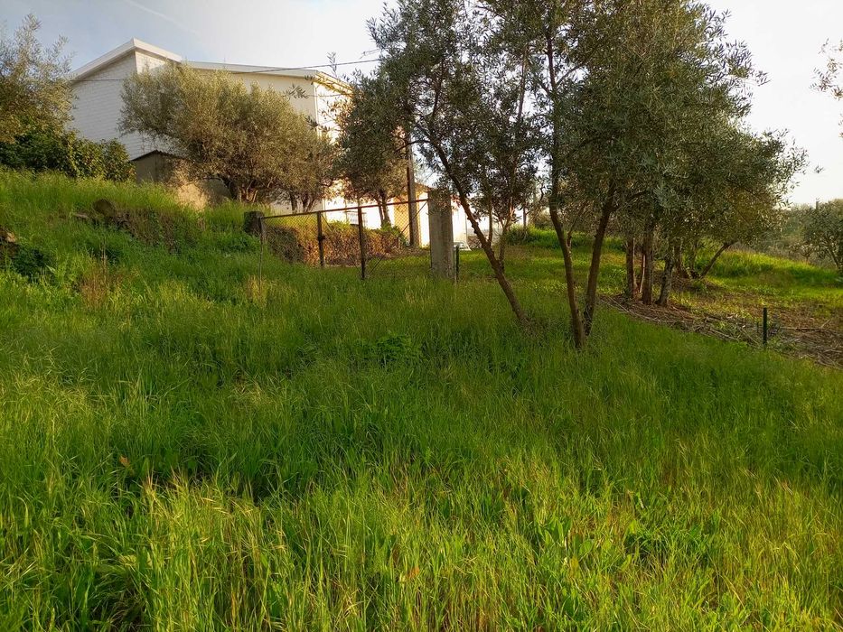 Terreno urbanizável na Rua da Barroca do Bicho - Peso, Covilhã