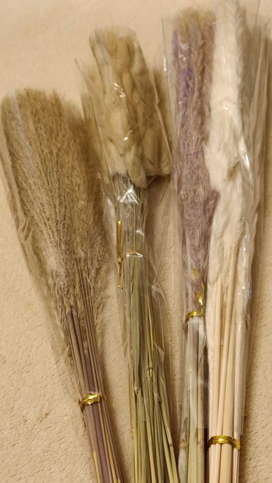 Набір 4 види пампасної трави