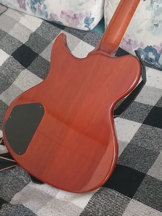 Washburn idol WI66 PRO F