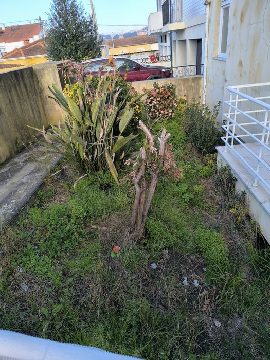 Serviços de jardinagem