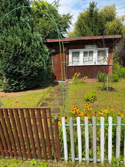 Ogródek działkowy- Łódź, Milionowa