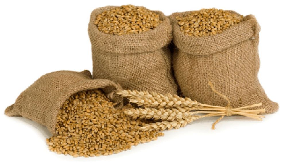 Продам зерно(пшениці )