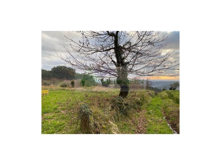 Terreno Com Uma Vista Única