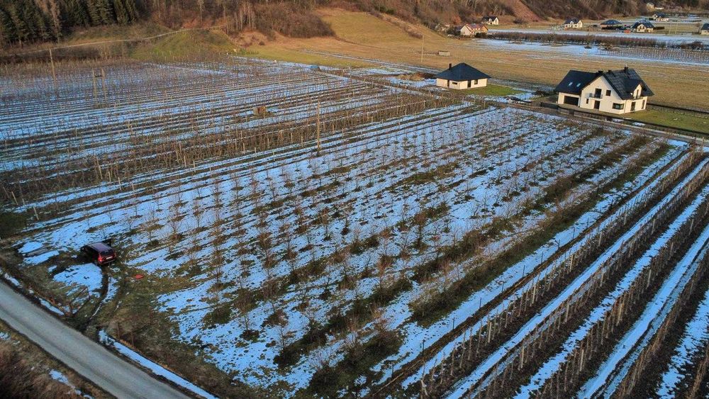 OKAZJA! Działka inwestycyjna 54 ary w centrum Łącka – Pełne uzbrojenie