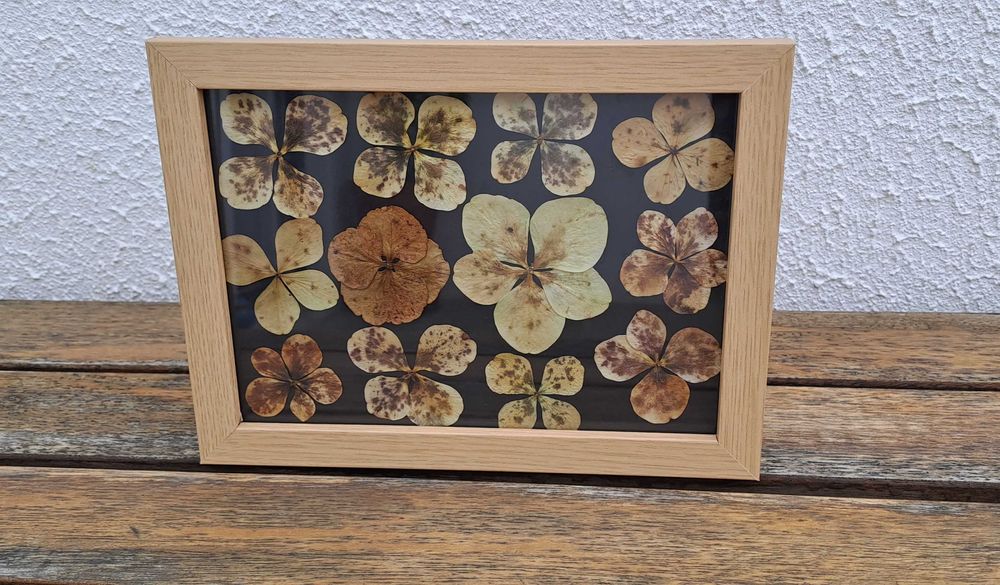 Azores Collection Frame - Black64584216567169121