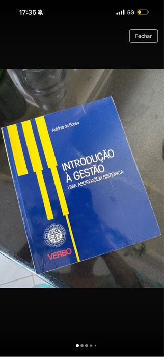 Livro “Introdução à gestão”