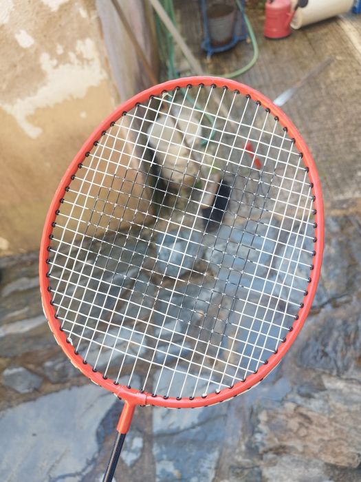 2 Raquetes de badminton