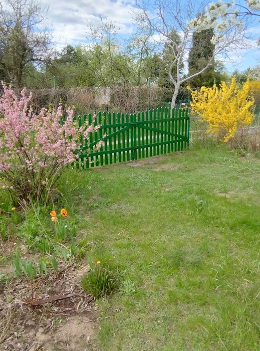 Działka ROD,zadbana,na płaskim terenie - Widok 2