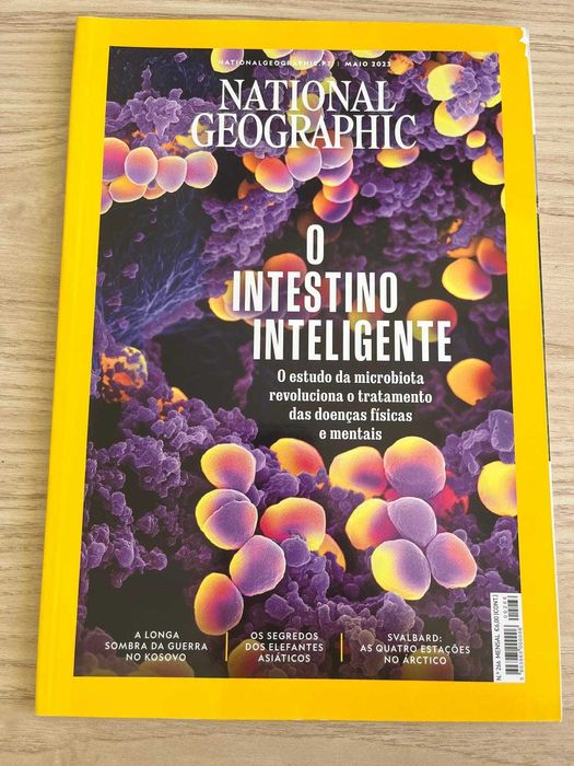 National Geographic Portugal nº 266