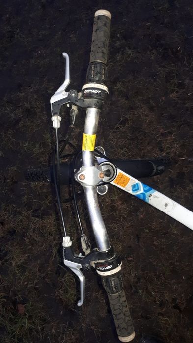 Rower Giant  24"