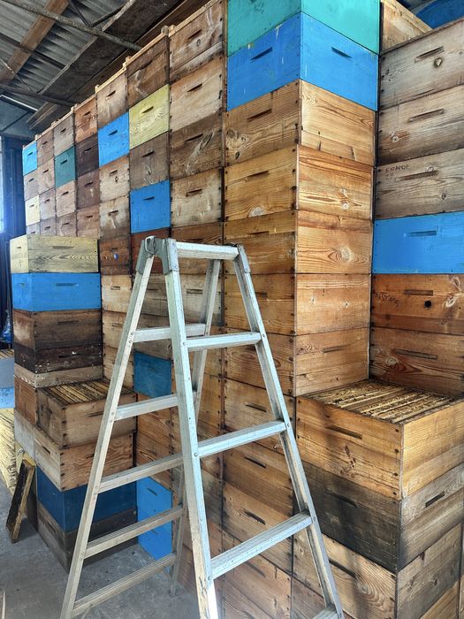 Корпус вулика безфальцевий на 230, вулик багатокорпусний