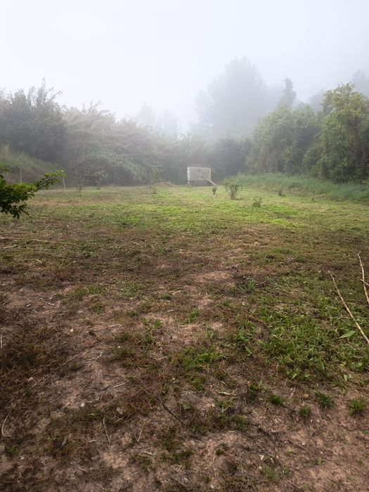 Limpeza de terrenos