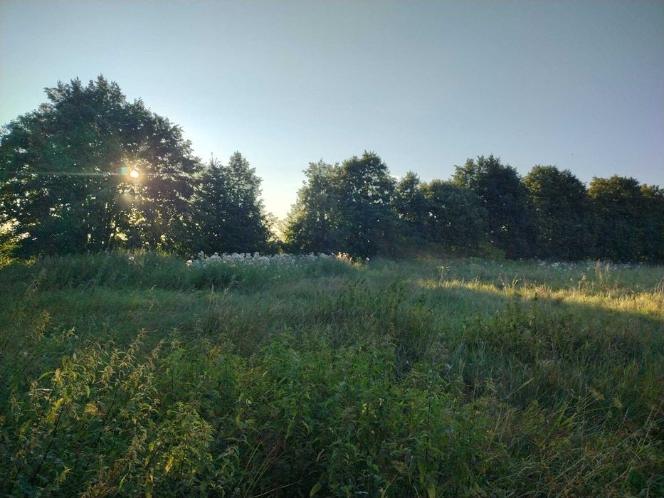 Działka rolno-budowlana Mazury 4400 m² Nowe Drygały gm. Biała Piska, nad lasem, niedaleko jeziora i plaży, warunki zabudowy dom+budynek gospodarczy - Widok 5