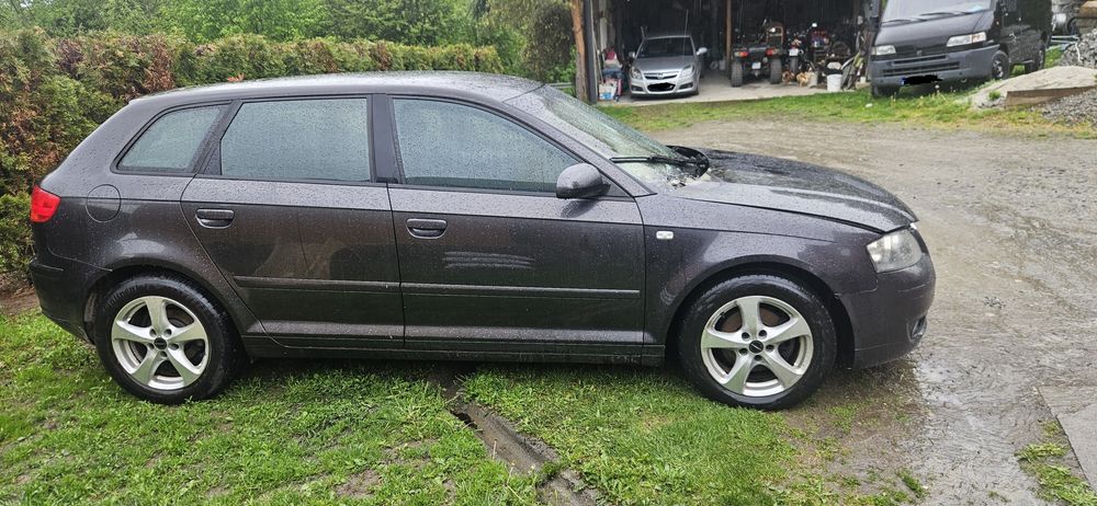 Audi a3 8p 2.0 2006