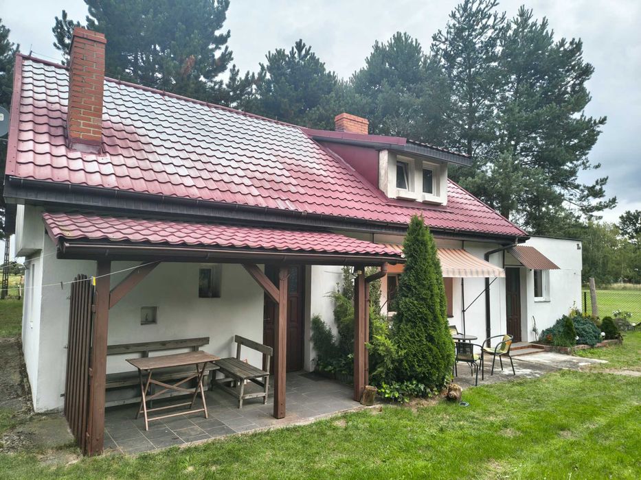 Zdjęcie 2