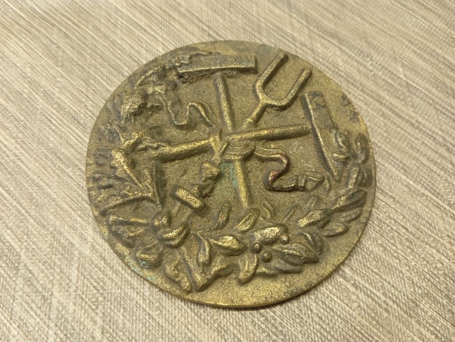 Porządki domowe medal