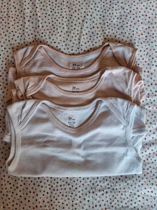 Bodies 24-36 meses