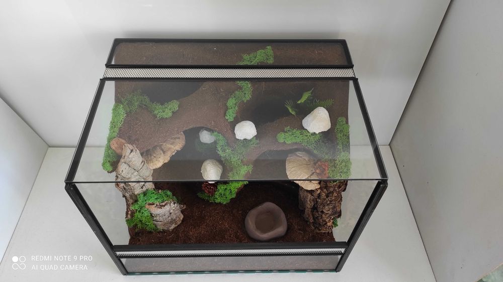 Terrarium dla lasiodory, ptasznika, achatiny, TW10G AquaWaves