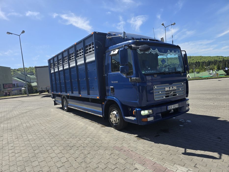 MAN TGL 12.240 do przewozu zwierząt żywca