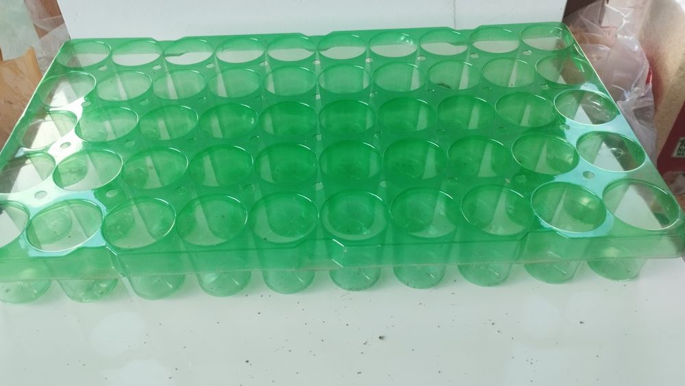 Multiplaty,wielodoniczki