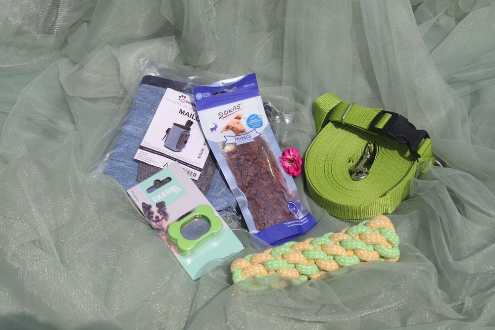 ZwierzoBox treningowy dla psa