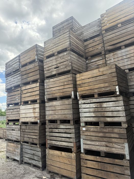 Продам контейнер деревʼяний ящик для яблук та овочів