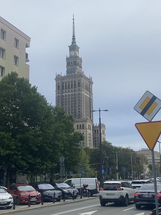 Репетитор, тренер по шахах на украінській та англійскій мові онлайн