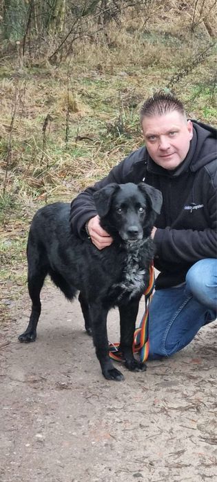 Czy niedowidzący pies ma szanse na dom?