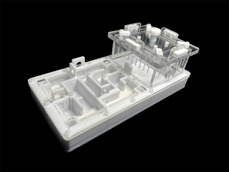 Мурашина ферма 220х110мм з гіпсом | Доставка по Україні, ЄС