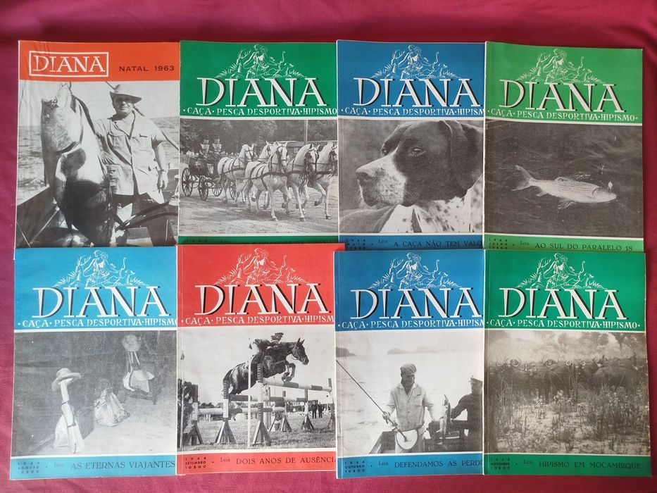 Revista DIANA Caça, Pesca Desportiva e Hipismo (44 Revistas Antigas)